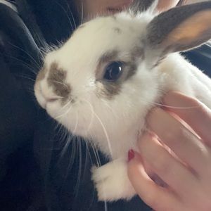 Meet your Posher, Connie